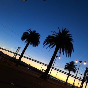 Meet your Posher, Isabel